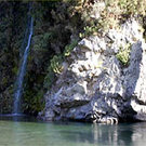 Picture of Ashley Gorge Holiday Park, Canterbury