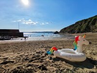 8. Polkerris
