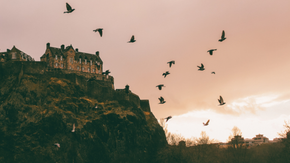 Views over Edinburgh Castle - Edinburgh Castle at dusk with birds silhouetted against the orange sky