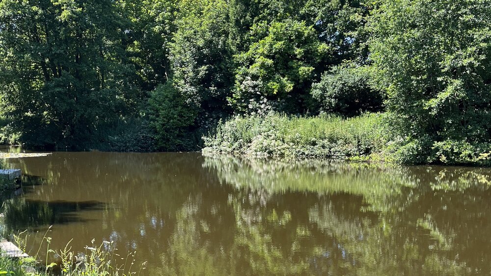Elm lake
