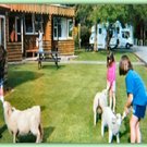 Picture of Lorneville Holiday Park, Southland
