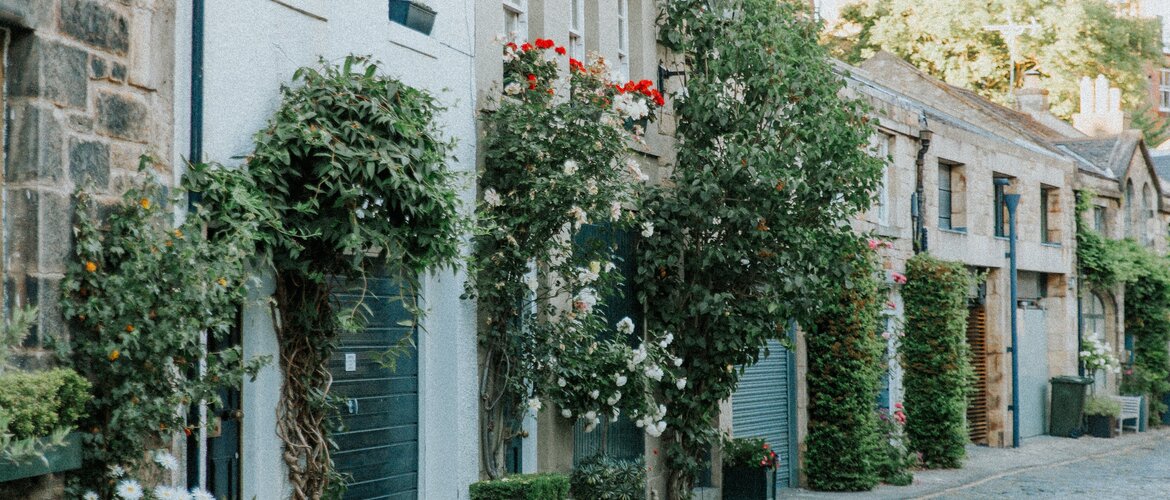 lucija-ros-726119-unsplash lucija-ros-726119-unsplash