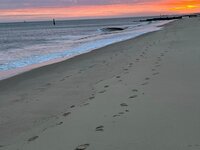 Leave only footprints