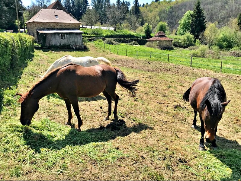 Family holiday house in French countryside