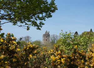 Visit Cardoness Castle
