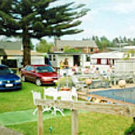 Picture of Mercury Bay Motor Camp & Holiday Park, Waikato