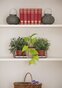 Shelves