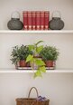 Shelves
