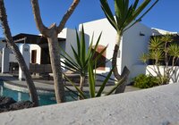 Garden view from the street