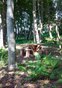 Papple Wood picnic table