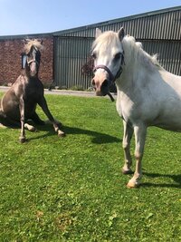 51598c1f-d23a-4759-8df5-220726599c10