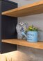 Open Shelving & Contemporary Kitchen Styling