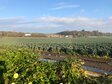 image00018