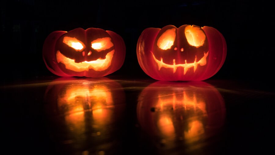 Carved pumpkins (© David Menidrey on Unsplash)