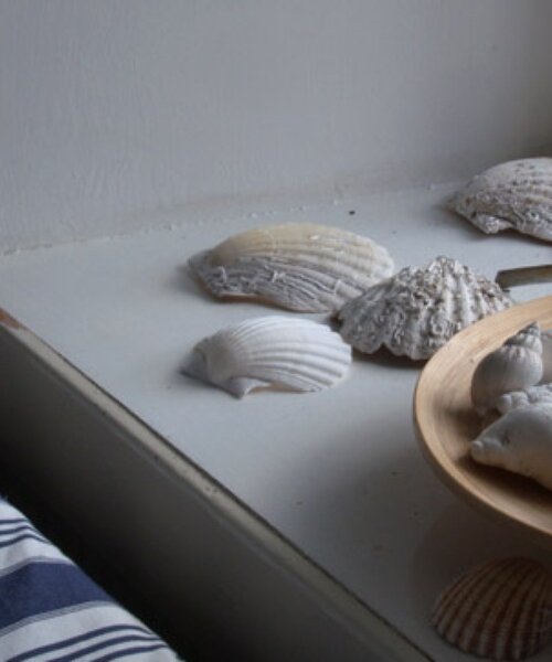 Shells - Whitehouse - Shells (© Whitehouse)