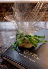 Guest Information and Welcome Gift