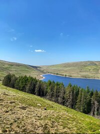 d3262971-e5e4-42aa-80ef-1225c7275704