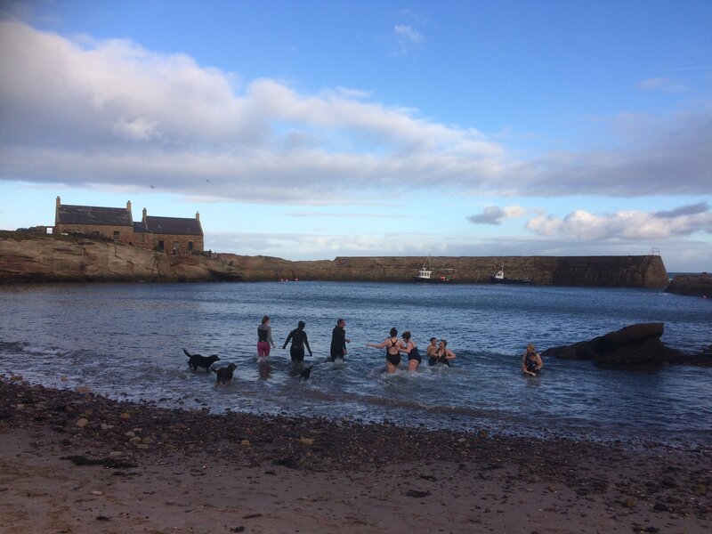 Loony Dook in the Cove, New Year's Day.