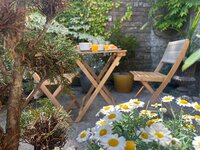 Courtyard Garden