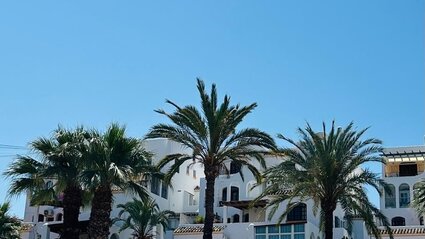 d9106db4-e07e-47fa-af41-e9c55d72af79