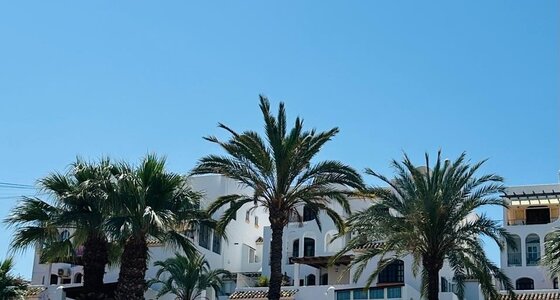 d9106db4-e07e-47fa-af41-e9c55d72af79