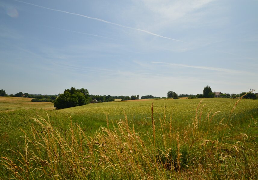 Vue sur Les Hortensias