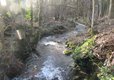 Nature Retreat with Scenic Views
