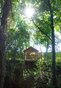 Papple Wood overlook shelter