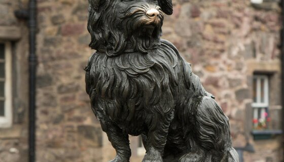 Greyfriars Bobby - Bronze statue of Greyfriars Bobby in Edinburgh capturing historical charm (© 2016 Sergio Scandroglio)