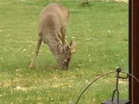 IMG_0081