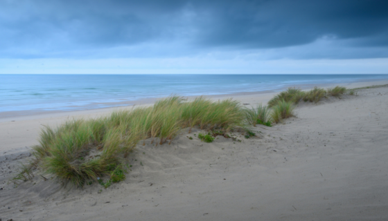 Beach holidays in Scotland - A moody sky overlooks a golden beach and blue waters in the distance. (© Dario Rawert on Unsplash)