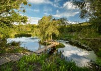 Pond