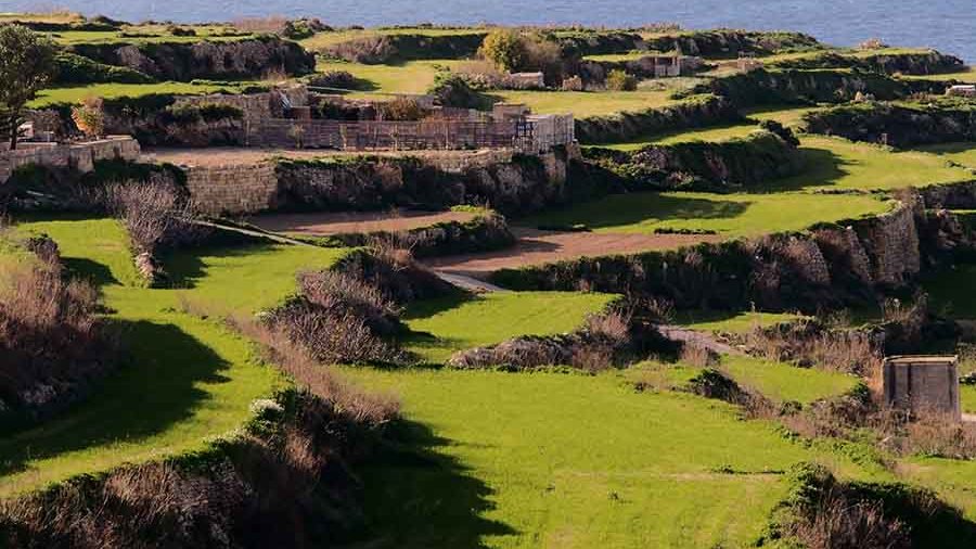 "Gozo Countryside"