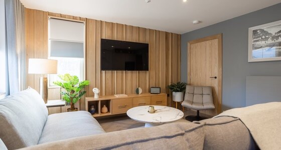 Living Room - Stylish yet comfortable living room