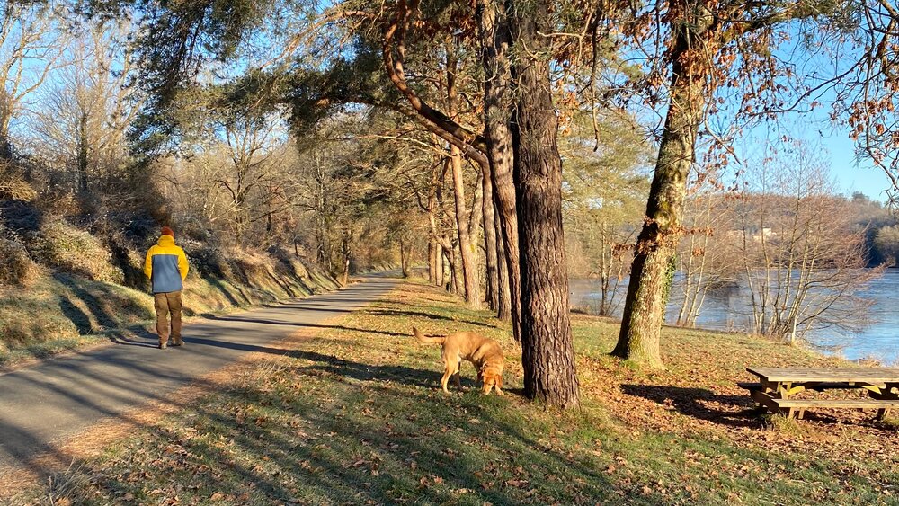 Dog walking at Etang du Coucou