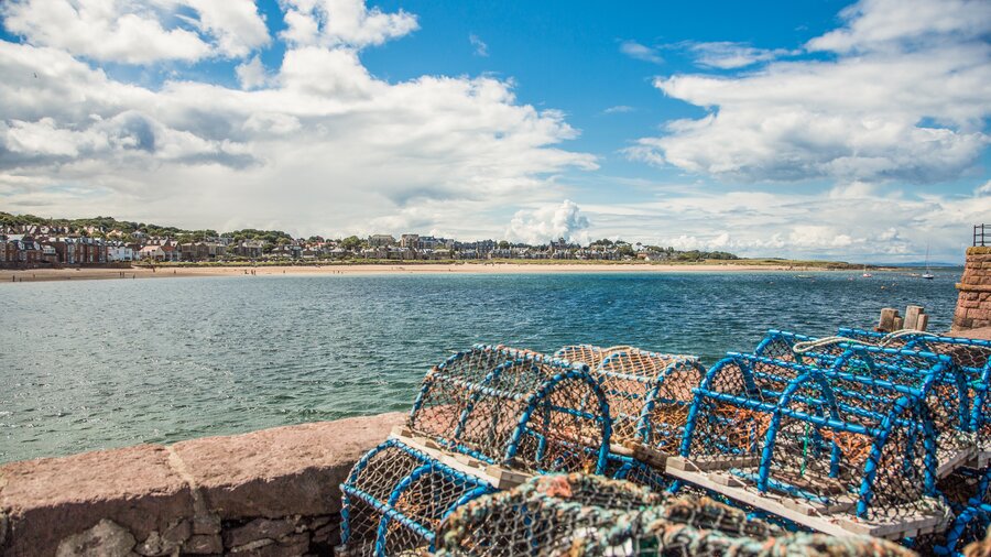Lobster baskets, North Berwick Harbour - Lobster baskets at North Berwick Harbour (© Visit Scotland)