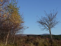 P1030490
