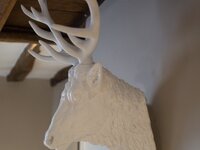 Stag detail