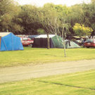 Picture of Kuaotunu Motor Camp, Waikato