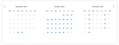 Calendar Widget (© 2021 Bookster)