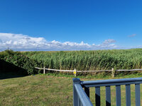 View from Merlin's Retreat