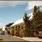 Picture of Auckland North Shore Motels & Holiday Park, Auckland