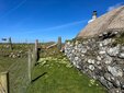 IMG_2514