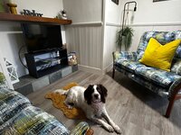 Dog friendly Lake District accommodation at Fellside Studio holiday let
