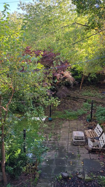 Shared garden