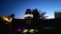 view of the garden in the night