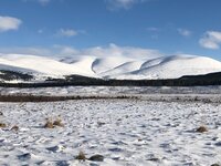 IMG_3112