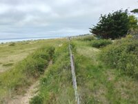 Beach westward jn26