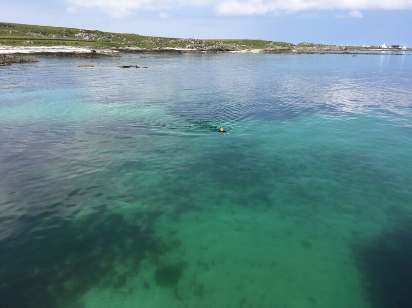 Photo 02-07-2021, 14 04 56 (1)