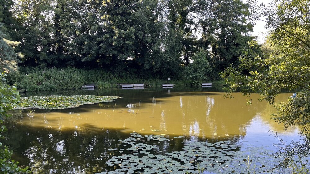 Oak lake